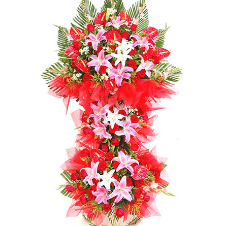 鲜花图片